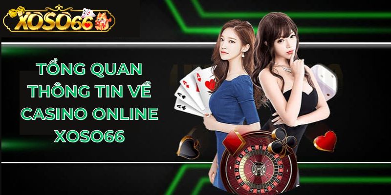 Tổng quan thông tin chung về casino online Xoso66